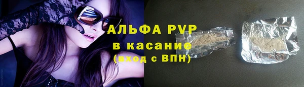 винт Верея