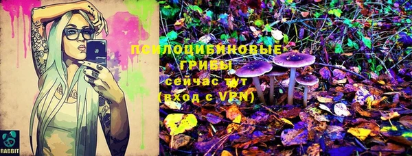 винт Верея